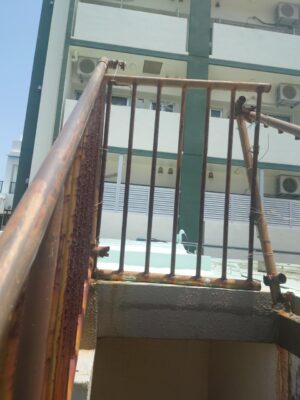 20250530_115457.JPG